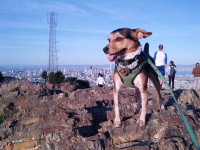 Naya posing in the wind above San Francisco